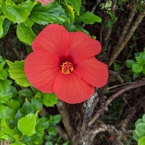 Meet your Posher, Gail